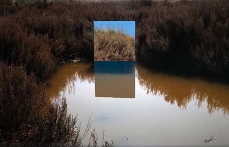 Mirrored Landscapes